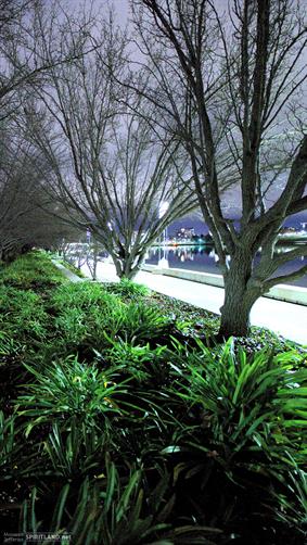 Canberra at Night, ACT. 